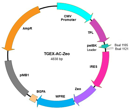 TEGX-AC-Zeo map